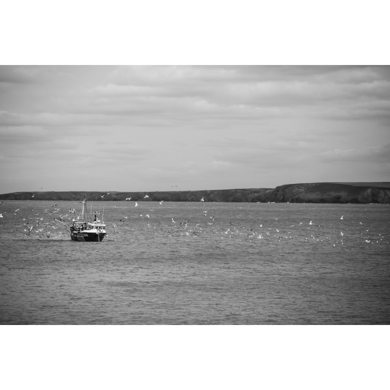 Flying Fish Seafoods Co. Ltd Royal Warrant Holders Association