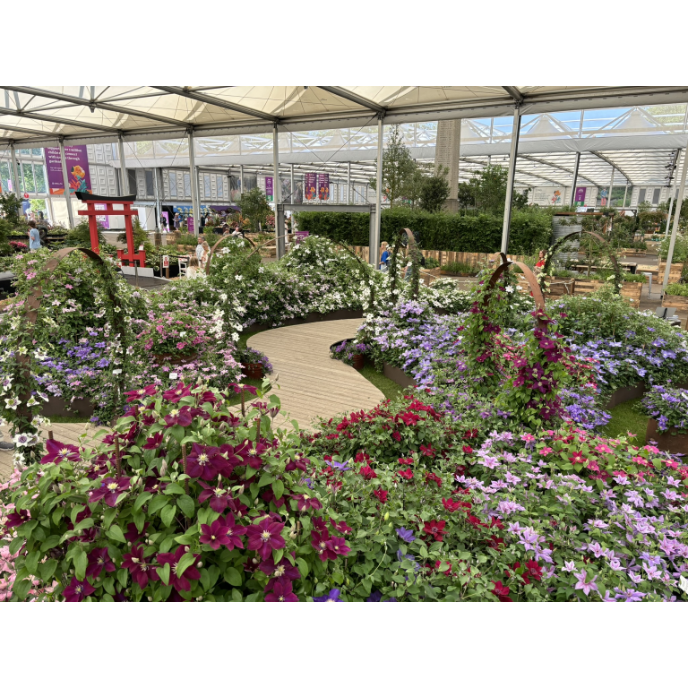 Our 2024 Royal Horticultural Society Chelsea Flower Show exhibit.